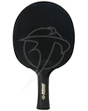 Tischtennisschläger Donic CarboTec 100