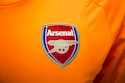 Torwarttrikot für Kinder Puma Arsenal FC 2017/18