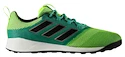 Training-Fußballschuhe adidas ACE Tango 17.2 TR