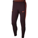 Trainingshose Nike Dry Squad FC Barcelona