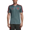 Trainingstrikot adidas FC Bayern München grey/red