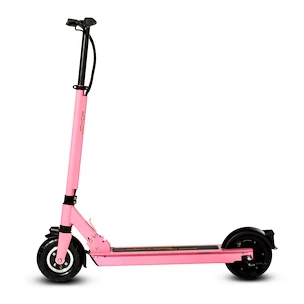 Tretroller Joyor