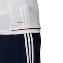 Trikot adidas Authentic FC Bayern München Training 2017/18