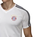 Trikot adidas Authentic FC Bayern München Training 2017/18