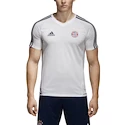 Trikot adidas Authentic FC Bayern München Training 2017/18