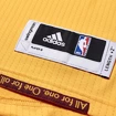 Trikot adidas NBA Cleveland Cavaliers LeBron James 23