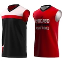 Trikot adidas Training Reversible NBA Chicago Bulls B45460