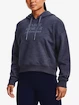 Under Armour Essential Script Hoodie-GRY