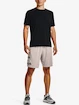 Under Armour UA Tech WM Graphic Shorts-GRY