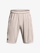 Under Armour UA Tech WM Graphic Shorts-GRY