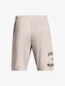 Under Armour UA Tech WM Graphic Shorts-GRY