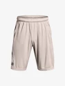 Under Armour UA Tech WM Graphic Shorts-GRY