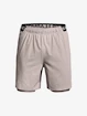 Under Armour UA Vanish Woven 2in1 Sts-GRY