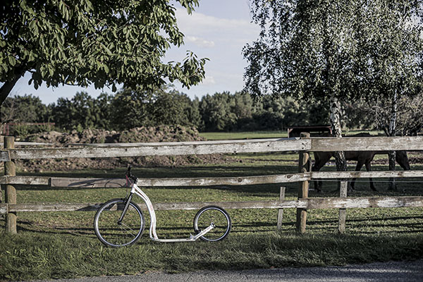 Yedoo Scooter für längere Touren