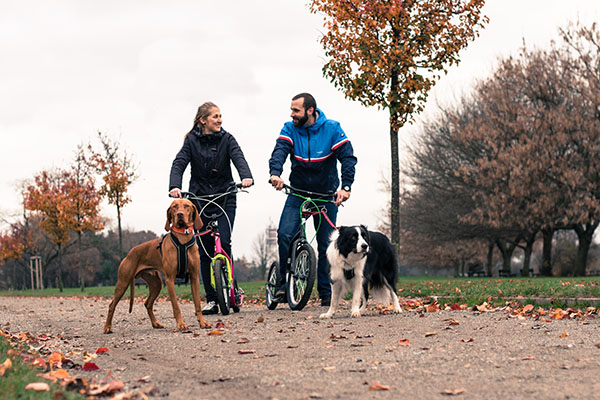 Yedoo Scooter für Hundehalter und Mushing