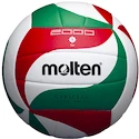Volleyball Molten V5M2000