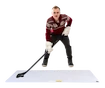 Wandplatte Hockey Revolution  My Shoot Pad