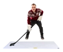 Wandplatte Hockey Revolution  My Shoot Pad