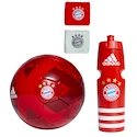 Weihnachtspaket Game FC Bayern München