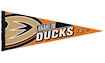 Wimpel WinCraft Premium NHL Anaheim Ducks