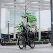 Windschutz Urban Iki  Widescreen Icho Green