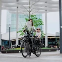 Windschutz Urban Iki  Widescreen Icho Green