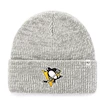 Wintermütze 47 Brand Brain Freeze
