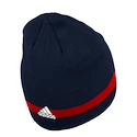 Wintermütze adidas Beanie