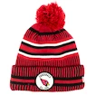 Wintermütze New Era
