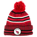 Wintermütze New Era
