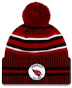 Wintermütze New Era