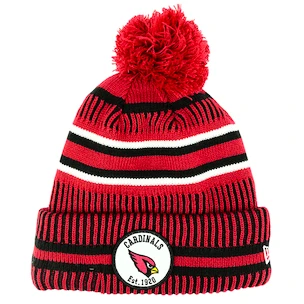 Wintermütze New Era
