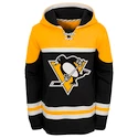 Youth Hockey Hoodie NHL Pittsburgh Penguins