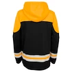 Youth Hoodie adidas Asset Pullover Hood NHL Boston Bruins